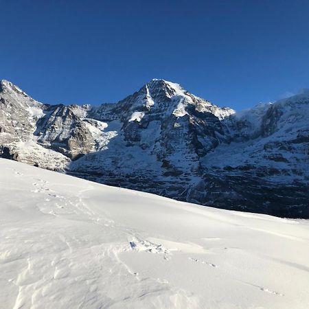 Pasta&More Bed&Breakfast Wengen Luaran gambar